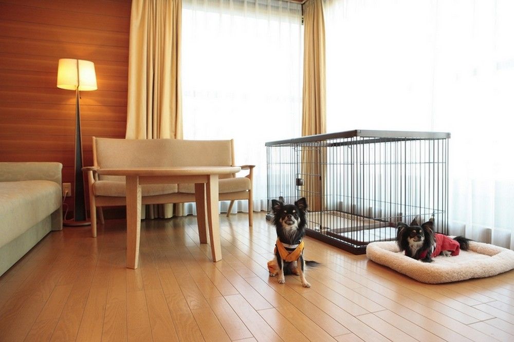 Hilton Odawara Resort & Spa in Odawara