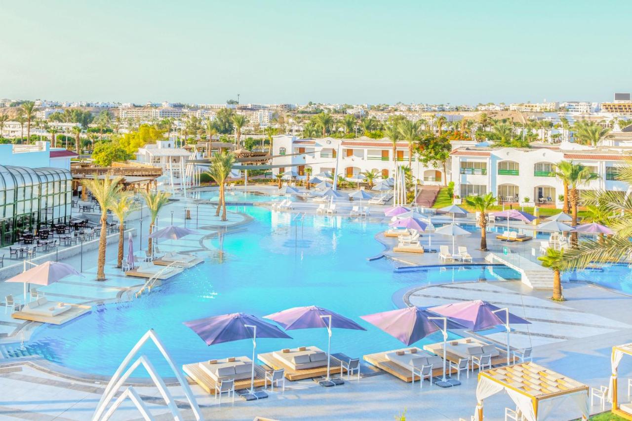 JAZ SHARM DREAMS in Sharm-El-Sheikh