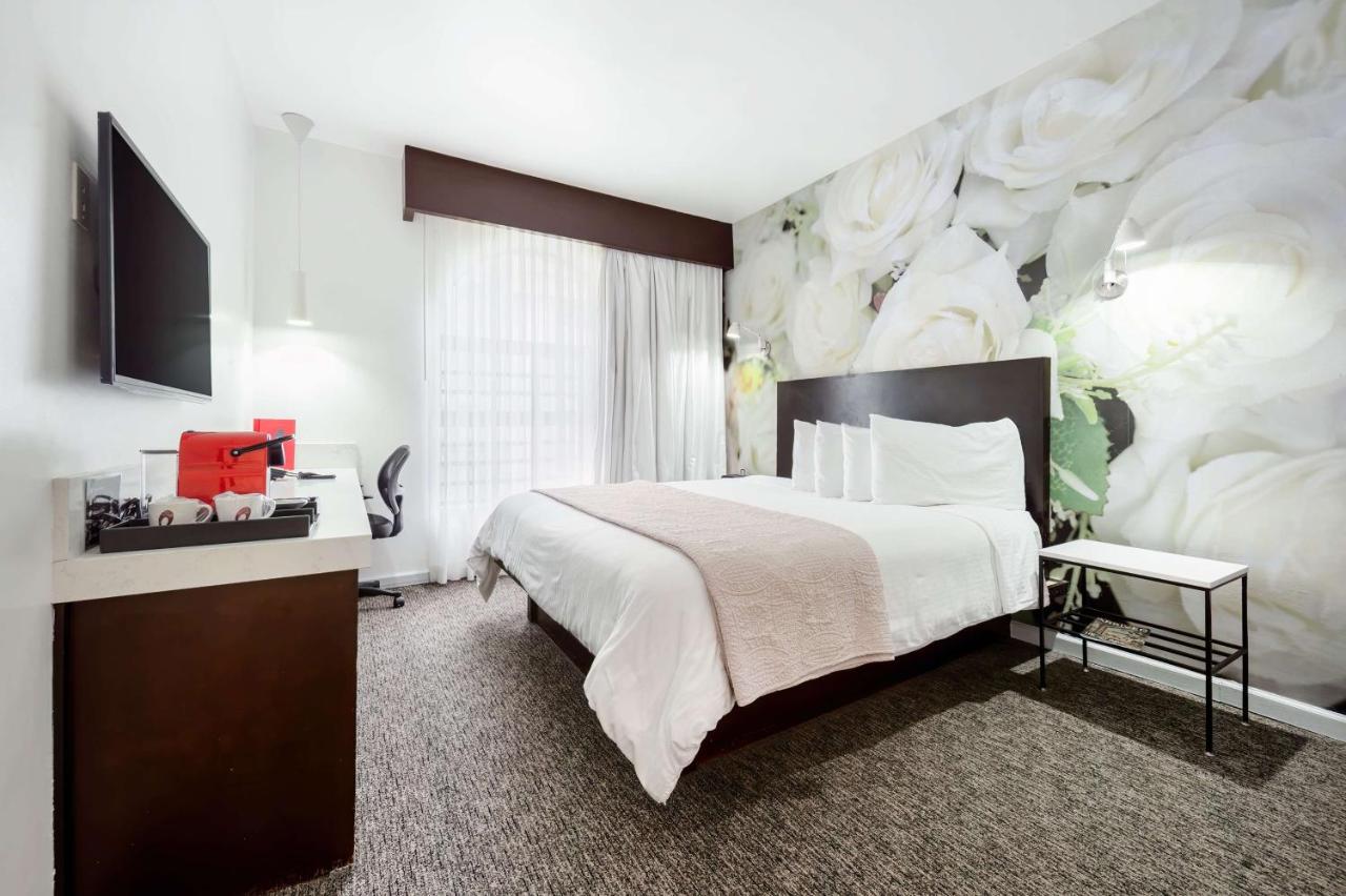 O Hotel by LuxUrban, Trademark Collection by Wyndham in Los Angeles, Ca