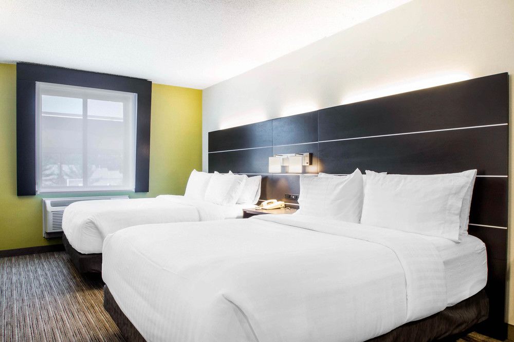 Holiday Inn Express & Suites Albany Airport - Wolf in Albany