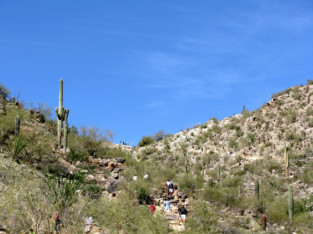 Hilton Phoenix Tapatio Cliffs Resort in Phoenix, Az