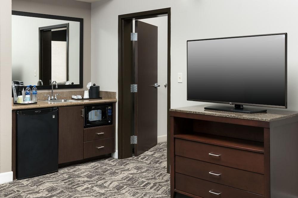 Hilton Garden Inn DFW North Grapevine in Grapevine, Tx