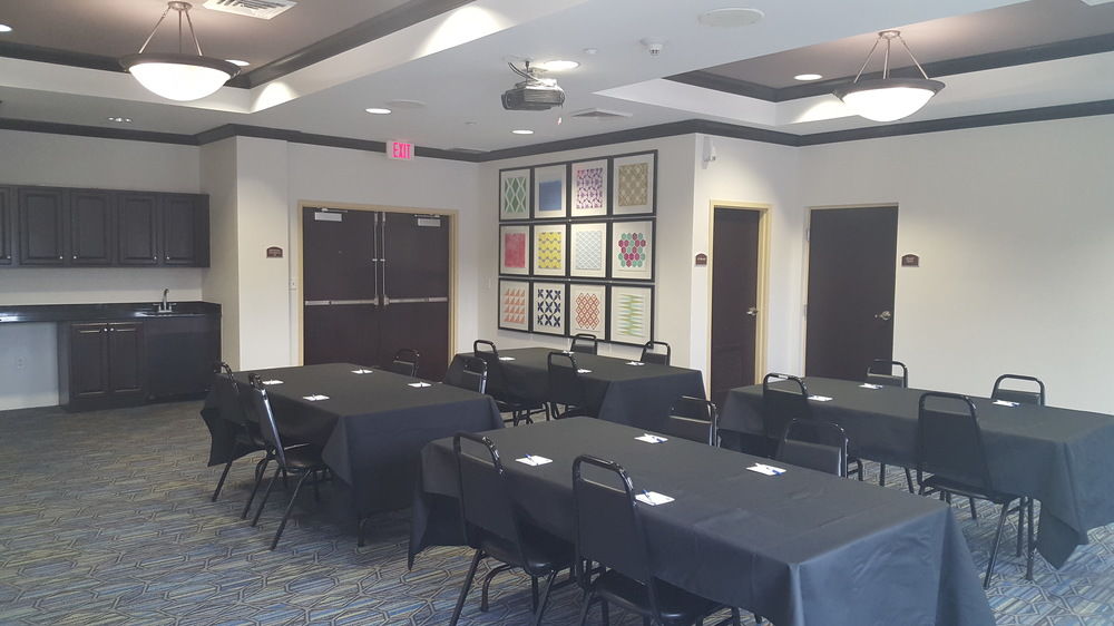 HOLIDAY INN EXPRESS & SUITES TAMPA -USF-BUSCH GARDENS in Tampa, Fl