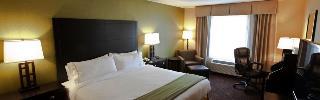 Holiday Inn Express Suites Detroit North Troy IHG in Troy-Mi (Us)