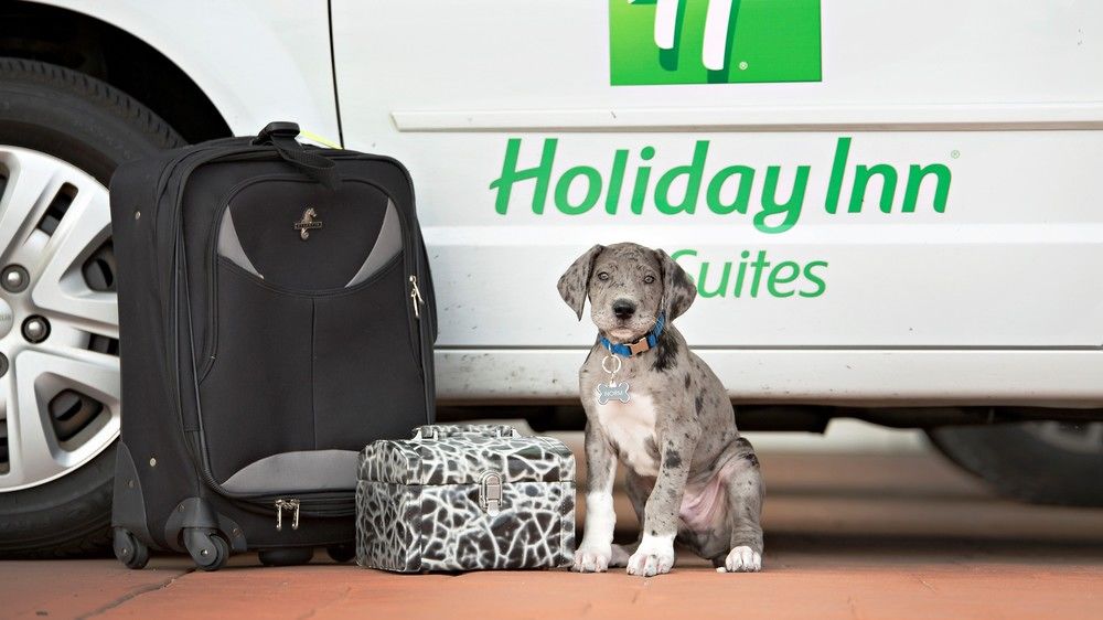 HOLIDAY INN & SUITES BLOOMINGTON-AIRPORT in Bloomington,Il