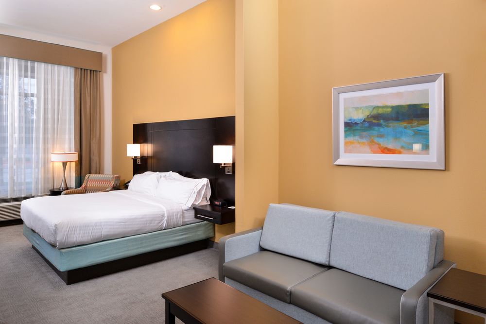 HOLIDAY INN EXPRESS & SUITES AUSTIN SOUTH in Austin, Tx