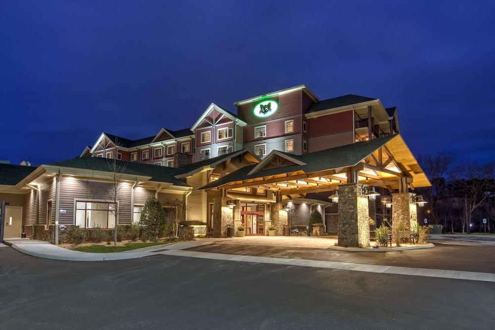 Black Fox Lodge Pigeon Forge, Tapestry Collection by Hilton in Pigeon Forge
